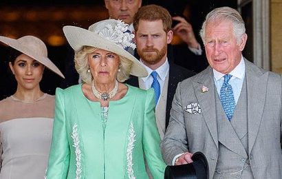 Prince Charles & Camilla Spotted With A Photo Of Prince Harry & Meghan Markle’s Wedding In Living Room