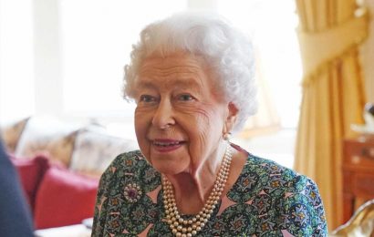 Queen, 95, has beaten Covid and been passed fit and is back hosting two virtual audiences today