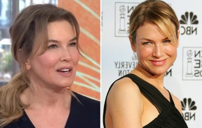 Renee Zellweger reveals where she's been hiding away from Hollywood for YEARS as she looks unrecognizable in movie