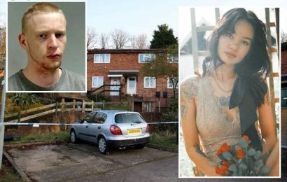 Schoolgirl who played dead to escape killer after he knifed model mum & dumped body in suitcase is haunted by nightmares