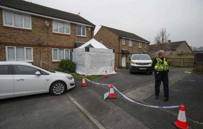 Son, 19, charged with murdering mum, 47, found dead at home in Cheltenham