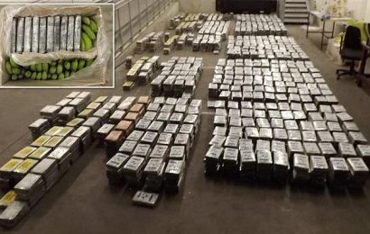Cocaine haul worth up to £300m found hidden in pallets of bananas