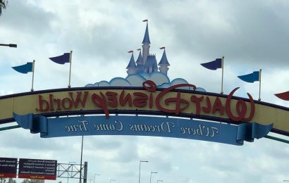 Florida Senate Votes To Strip Walt Disney World of 55 Year Old Special District