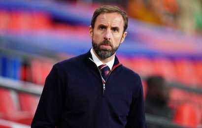 Gareth Southgate helps Harlequins in bid to launch Champions Cup comeback