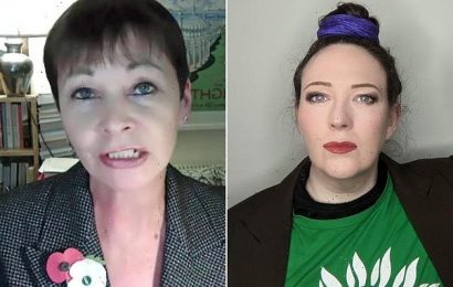 Green Party sued for &apos;purging members who questioned its trans policy&apos;