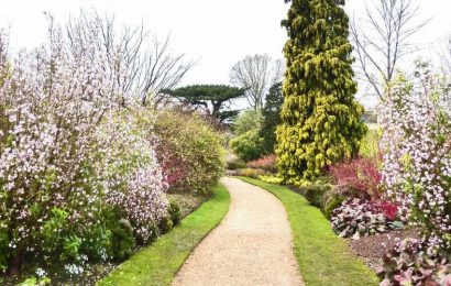I'm a gardener – seven top tips to create a cheap garden pathway on your lawn that WON'T require digging