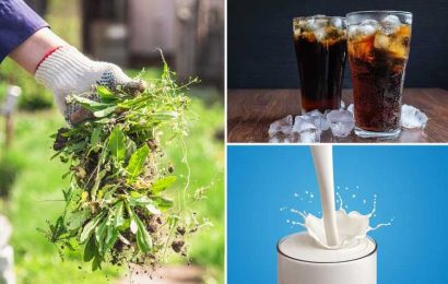 I’m a gardening expert and you can use milk, vodka or even cola to make your plants grow & kill weeds – here’s how