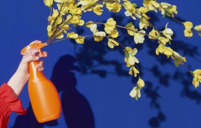 Is spring cleaning actually good for us? The positive psychology behind “spring resets”