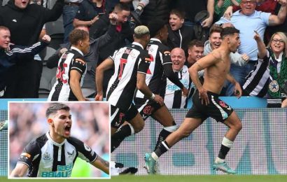 Newcastle 2 Leicester 1: Two-goal hero Guimaraes nets last-gasp winner as Toon take leap towards Premier League survival