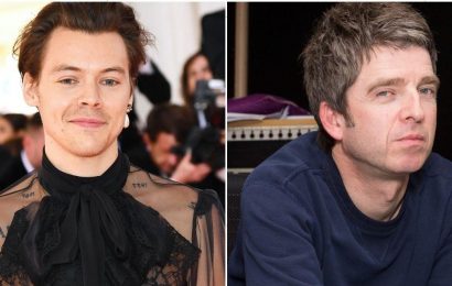 Oasis Guitarist Noel Gallagher Comes for Harry Styles, Claims He's Not a "Real" Artist