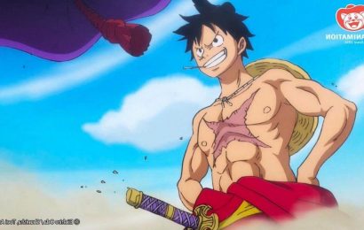 'One Piece' 1048 Predictions That Could Come True