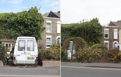 Pensioner spends TWO DAYS cutting back shrubs that engulfed his house