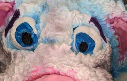 People in stitches as mum’s Easter ‘bunny’ cake blunder looks like ‘pig demon’