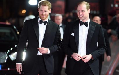Prince Harry Refused to Let Prince William Become Pompous — Royal Author