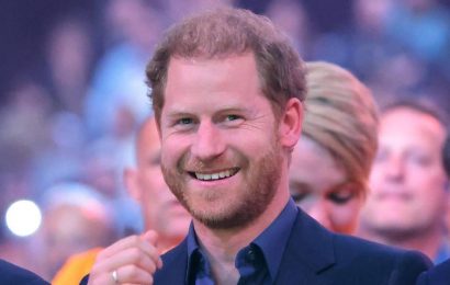 Prince Harry delights fans as he celebrates special royal moment