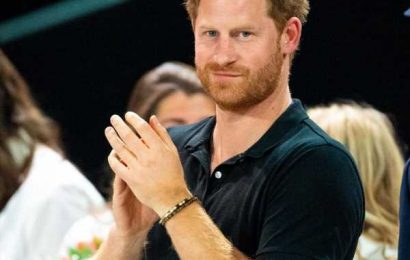 Prince Harry ‘cuts out the toxic parts of the online world’ like a ‘digital diet’