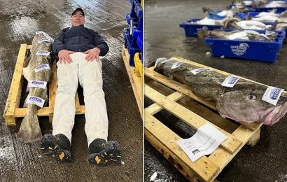 Record breaking 6ft-long Cod stuns punters at Grimsby fish market