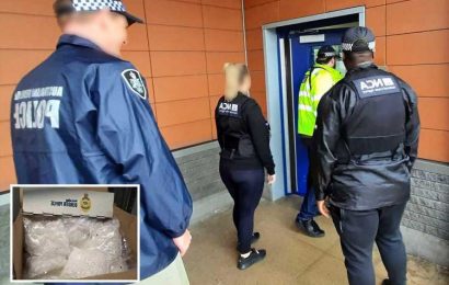 Three Brits 'smuggled £16 million worth of crystal meth' into Australia in '24kg drugs plot'