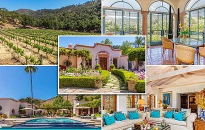 Vineyard estate with avocado orchard hits market for $38 MILLION