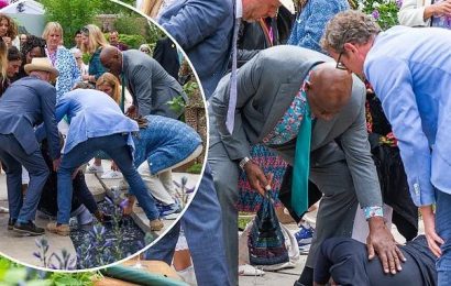Ainsley Harriott saves a woman from drowning at Chelsea Flower Show