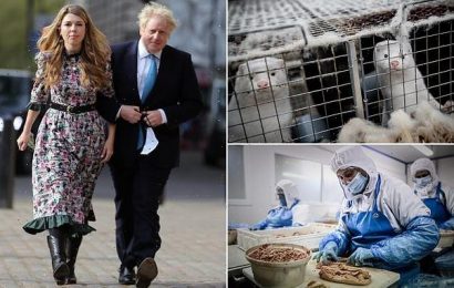 Ministers drop plans to stop imports of fur and foie gras to Britain
