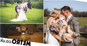 Pets at weddings is a big trend for 2022 – meet the people who've done it