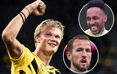 Seven strikers better than Erling Haaland according to incoming Man City star including Harry Kane and Aubameyang