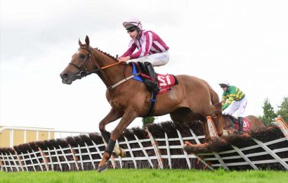 Shock 300-1 outsider Sawbuck makes history as biggest winner EVER over jumps with easy victory at Punchestown