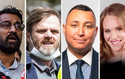 Socialists, separatists and splinter groups – your Victorian Senate ticket guide