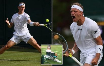 Alejandro Davidovich Fokina Wimbledon controversy smashed ball