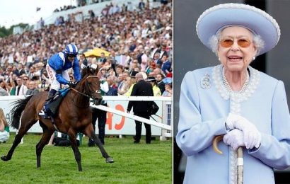 Buckingham Palace announces the Queen will NOT attend Epsom Derby