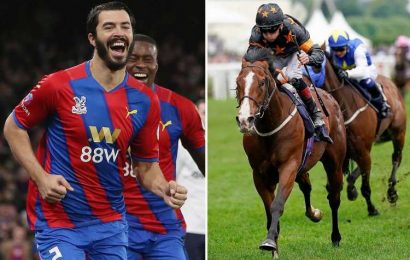 Rohaan hits the back of the net for James Tomkins as Crystal Palace defender's horse wins at Royal Ascot | The Sun