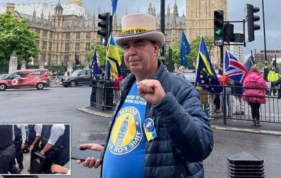 Steve Bray returns to Parliament day after he had speaker confiscated