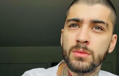 Zayn Malik looks unrecognisable as he shows off new clothing collection | The Sun