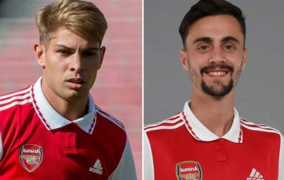 Arsenal have unearthed the ‘next Bernardo Silva’ with superb summer transfer, according to Emile Smith Rowe | The Sun