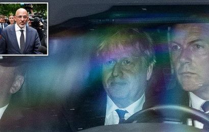Boris Johnson bows out: PM quits but vows to stay until OCTOBER