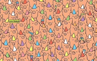 Can YOU spot the three pigs without party hats?