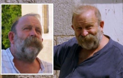 Dick Strawbridge addresses Escape to the Chateau regrets ‘Haven’t had the time’