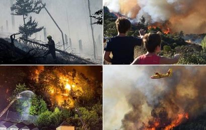 Firefighters continue to battle infernos across the continent