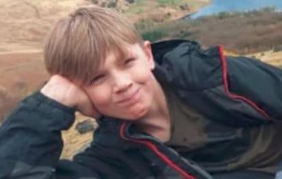 Hunt for missing boy, 12, who police fear he is being &apos;hidden&apos; by kids