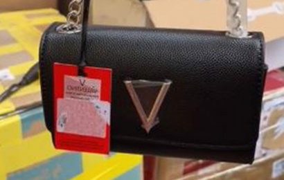I bought a Very returns pallet & was stunned at what was inside – I even found a brand new Valentino bag | The Sun
