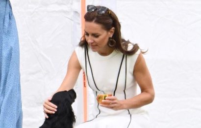 Kate Middleton strokes family dog Orla as she watches William play in polo match