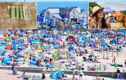 Sun worshippers flock to beaches as nation basks in 79F warmth