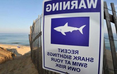 Warning for beachgoers as sharks spotted 'closer than ever' to US coastline with spike in sightings & string of attacks | The Sun