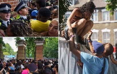 Wireless Festival crowds &apos;climb over fences to avoid being trampled&apos;