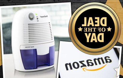 DEAL OF THE DAY: Reduce mould with this £33 ‘energy efficient’ dehumidifier – 25p to run