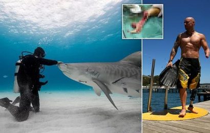 Diver PAUL DE GELDER describes the moment a shark took his arm and leg