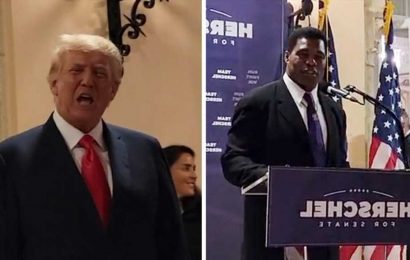 Donald Trump Teases 2024 Presidential Run While Campaigning For Herschel Walker