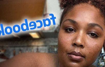Facebook Deleting Hateful Lizzo Comments