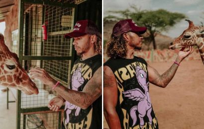 Fans all say the same thing as Lewis Hamilton reveals dramatic new hairdo as he pets baby giraffe and elephant in Kenya | The Sun